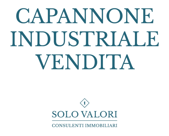Capannone produttivo insistente su ampia area di 50.000 mq, vicinanza Vigonza.